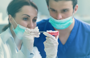 Two dentist looking at model of teeth