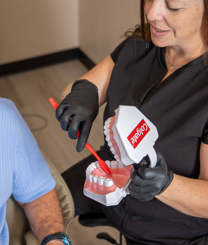 A senior patient being shown a 3d modal of teeth at Pocock Family Dental in Twin Falls ID.